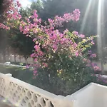 Villa Abrils *